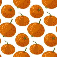 Seamless tangerine pattern falling. Vector fruit ornament. Citrus texture, whole tangerines in different turns on white. Vector design of mandarin for printing, textiles, paper, ornament