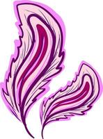 Bright purple feather vector or color illustration