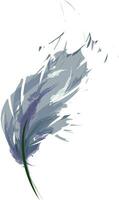 Feather in shades of blue vector or color illustration