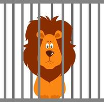 Lion in a zoo, illustration, vector on white background
