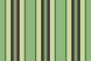 Fabric lines vector of seamless pattern texture with a textile vertical stripe background.