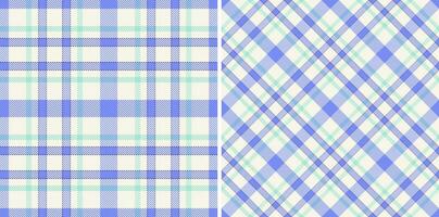 Texture background check of fabric textile tartan with a plaid seamless pattern vector. vector