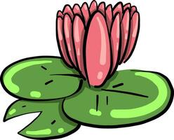 Lotus flower, illustration, vector on white background