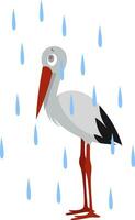 Wet stork, illustration, vector on white background