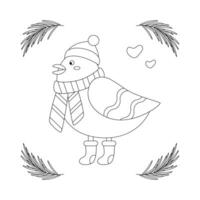 Set of Christmas bird in a red hat, scarf, and boots, frame with tree branch. vector