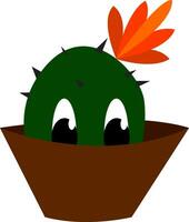 Cactus plant on a brown pot vector or color illustration