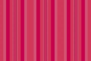 Pattern textile vector of texture seamless fabric with a lines background stripe vertical.