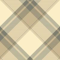 Plaid pattern vector. Check fabric texture. Seamless textile design for clothes, paper print. vector