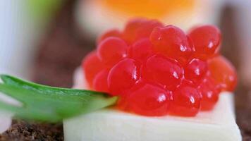 Salmon Red caviar white background. Luxury delicacy food. Raw seafood. Macro fish caviar. video