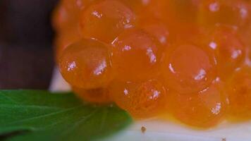 Red caviar close up, rotation. Red Caviar rotated over black background. Closeup salmon caviar rotation. Delicatessen. Texture of caviar. Seafood. video