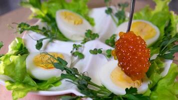 poner negro caviar en un huevo a servir delicioso sano comida mitades de un hervido pollo huevo con rojo caviar en un de madera antecedentes. video