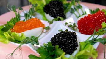 sätta svart kaviar på ett ägg till tjäna utsökt friska mat halvor av en hårdkokt kyckling ägg med röd kaviar på en trä- bakgrund. video