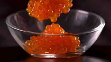 Red salmon salted roe caviar in big jar on black background closeup. Tasting salmon caviar salted roe. Hand with fork takes of caviar from the glass bowl closeup slow motion video