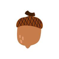 Acorn in flat style. Hand drawn drawing of a ripe oak acorn. vector