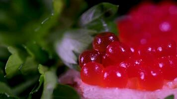 Red caviar close up, rotation. Red Caviar rotated over black background. Closeup salmon caviar rotation. Delicatessen. Texture of caviar. Seafood. video