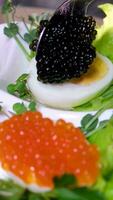 poner negro caviar en un huevo a servir delicioso sano comida mitades de un hervido pollo huevo con rojo caviar en un de madera antecedentes. video