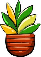Succulent in a pot, illustration, vector on white background