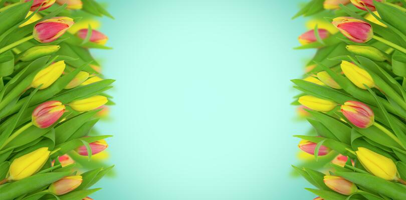 A4 Size Background Stock Photos, Images and Backgrounds for Free Download