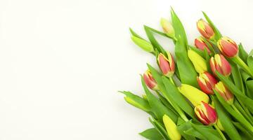Bouquet of tulips on a white background, copy space. Mother's Day photo
