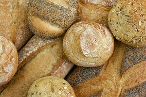 Different kinds of fresh bread as background, Top view. photo