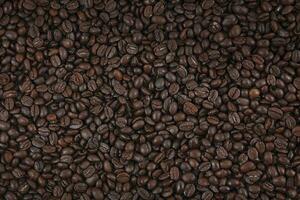 Coffee beans background. View from above. Roasted coffee. photo