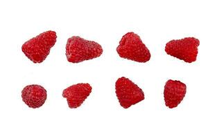 Ripe red raspberry isolated on white background. Clipping path. photo