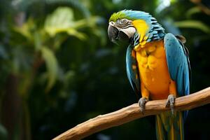 ai generado maravilloso guacamayo exhibiendo sus vibrante y vistoso plumaje ai generado foto