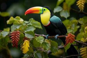 AI generated Keel billed Toucan perched on a forest branch in Panamas lush greenery AI Generated photo