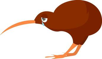 Sad kiwi the bird, illustration, vector on white background