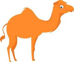 Orange camel, illustration, vector on white background