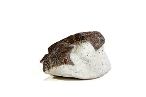 Macro mineral stone Staurolite on a white background photo