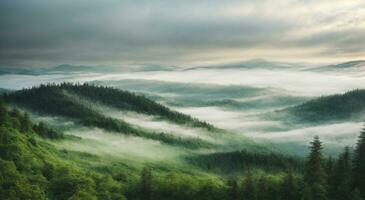 AI generated Landscape of Misty Green Forest. Fog with Beautiful Natural Scenery. Soft Texture Forest Illustration photo