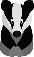 Little badger, illustration, vector on white background