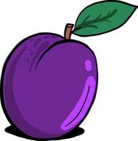 Purple plum with a stem, illustration, vector on white background