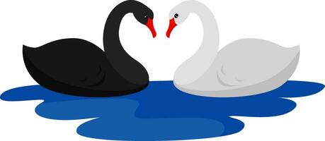 Pair of swans, illustration, vector on white background