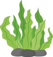Green fern, illustration, vector on white background