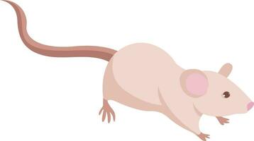 Laboratory mouse, illustration, vector on white background
