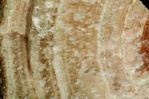 macro stone mineral marble Onyx on a black background photo