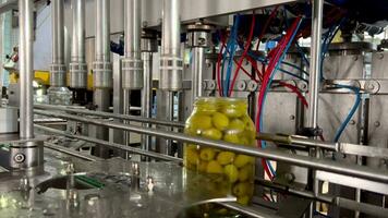 Olives in glass containers move on the production line. Factory for the production of canned vegetables and juices. video