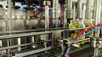 Large pitted green olives in jars on the conveyor of a cannery. Belt and roller conveyors. Automatic liquid filler. Automatic marinade pouring. video