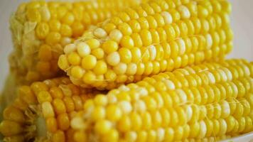 a few heads of boiled corn on a plate video