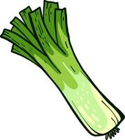 Green leek, illustration, vector on white background