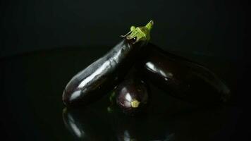 fresh ripe eggplants isolated on black background video