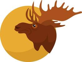 Moose head, illustration, vector on white background