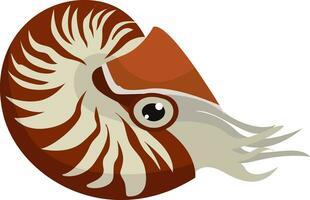 Red nautilus, illustration, vector on white background