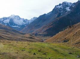 a grassy field with mountains in the background photo