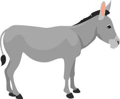 Grey donkey, illustration, vector on white background