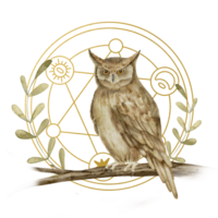 mystiek uil waterverf illustratie. hand- getrokken magisch afdrukken Aan geïsoleerd achtergrond. tekening van nacht vogel en pentagram. schilderij van fantasie schetsen. voor de ontwerp van esoterisch kaarten en stickers png