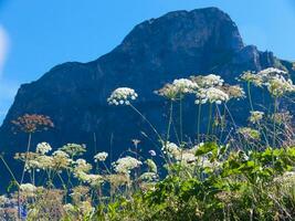 a mountain range photo