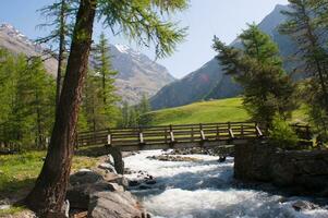 a bridge over a river photo